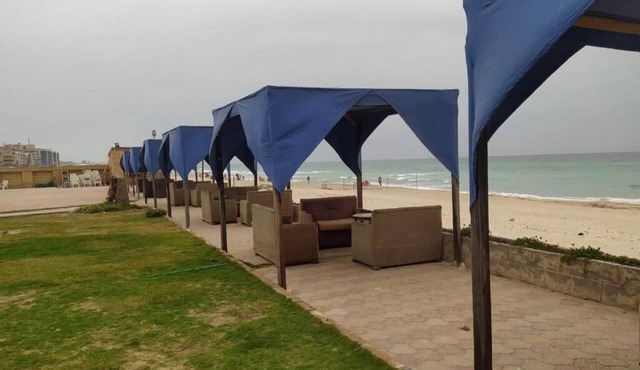 Seaview Hotel in Alexandria