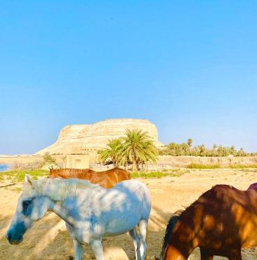 Soléi Royale in Siwa