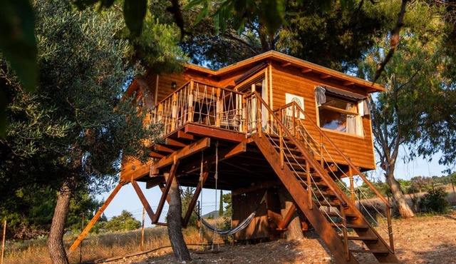 the Treehouse Project in Patra