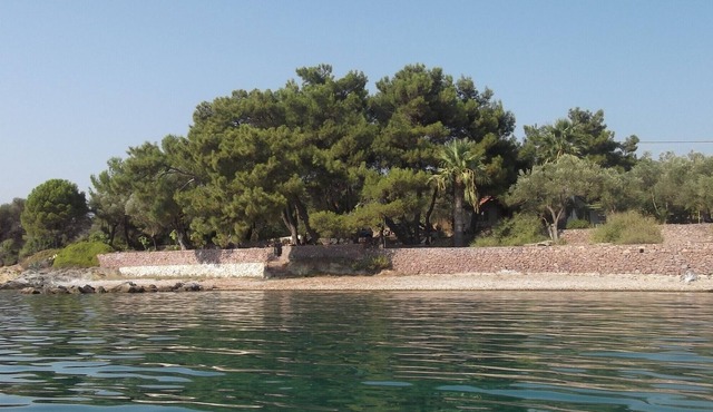 Villa surrounded by 8000 m2 olive groove, under pine trees, on waterfront in Pyrgi /Mitilini