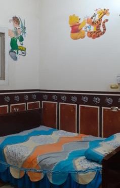 Village Room in the Countryside in Minya
