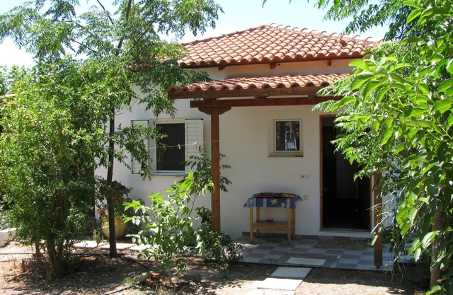 Calm Located Olive Grove The Beach Holiday 