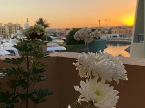 El Gouna Apartment | Abu tig marina
