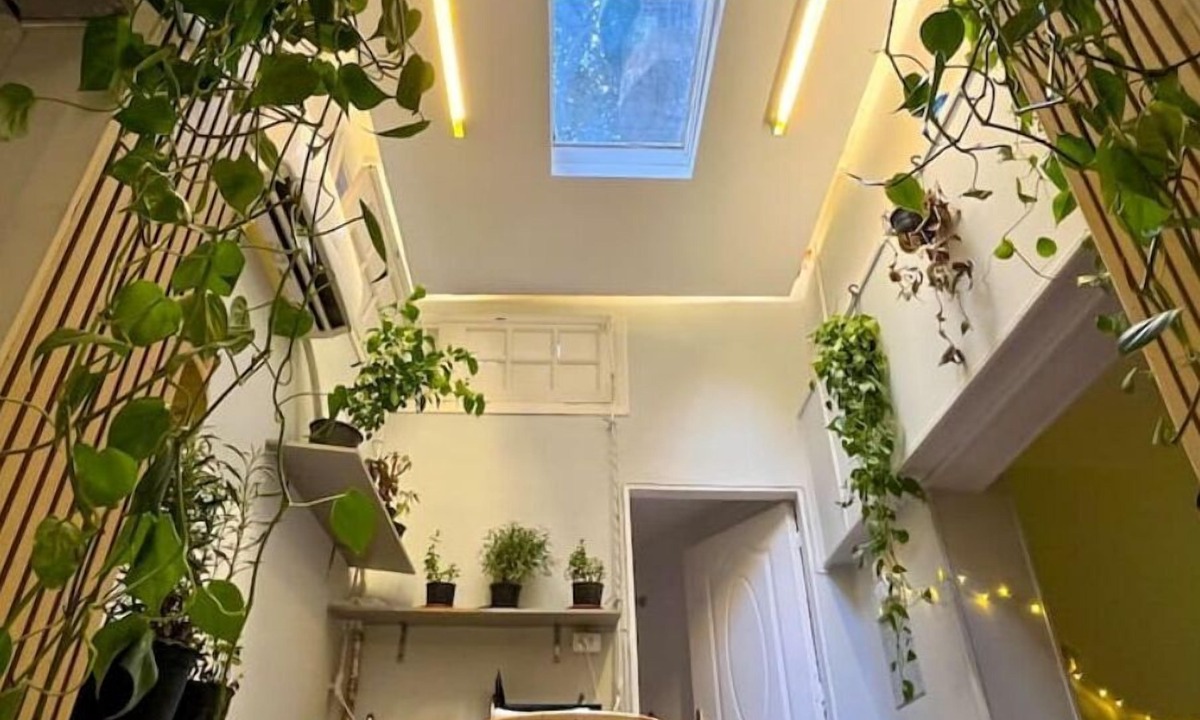 Garden City Apartment | Welcome to The Greenhouse