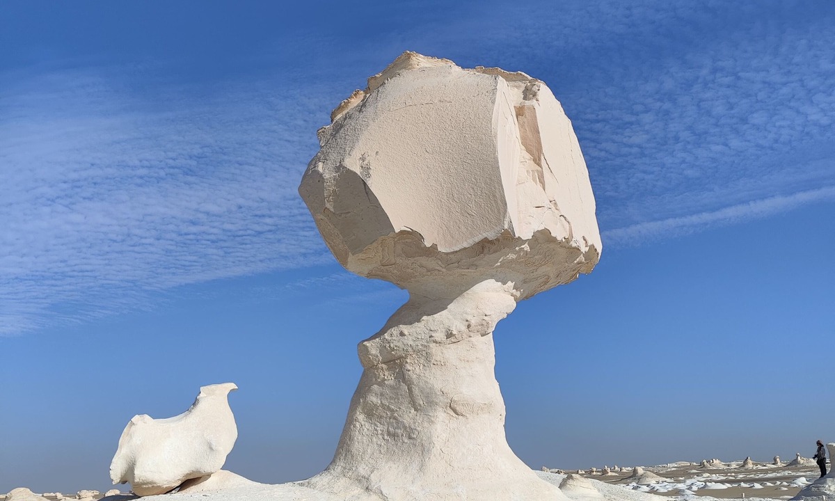 Bawati RV Rental | We organize safari trips to white desert