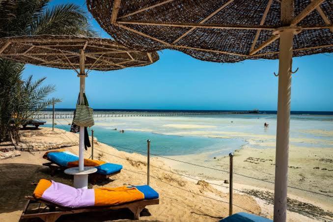 Marina El Alamein Apartment | mazarine penthouse chalet at new alamin