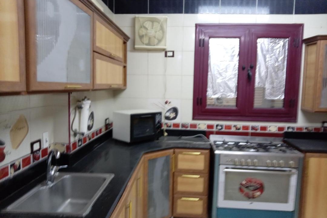 Al-Basatin Apartment | Maadi family home
