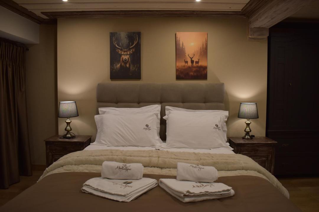 Arachova House | Alexandros Guesthouse