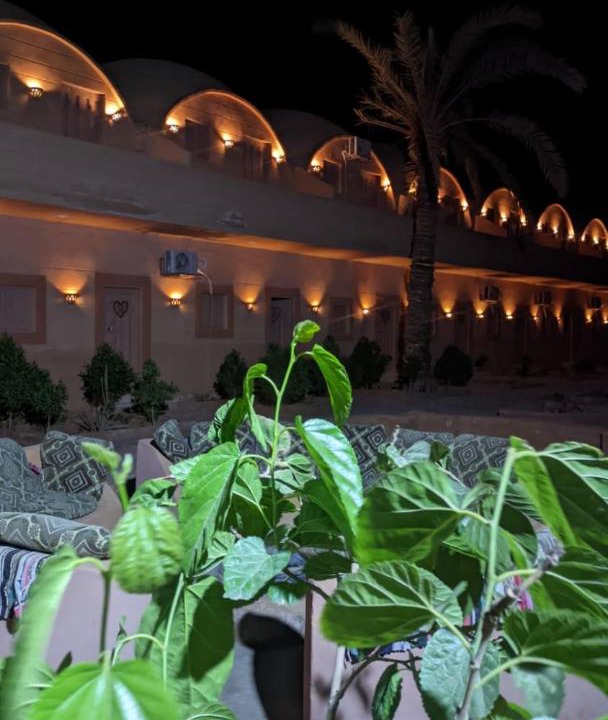 Siwa Hotel | Nour El wadi