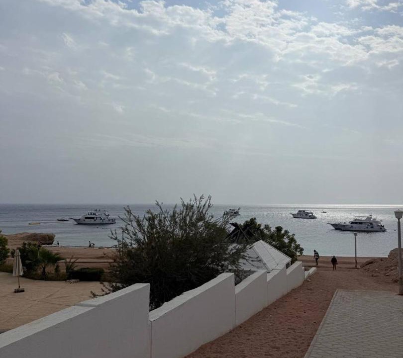 Ras Nasrani Apartment | Brand New Apt 1BR Pool Terrace Rooftop Sea View 5 Min Walk to Beach