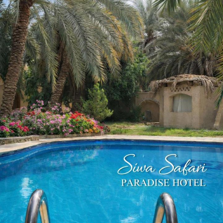 Siwa Hotel | Siwa Safari Paradise Hotel