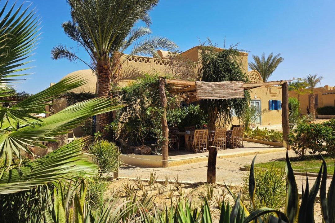 Tunis Village Bed & Breakfast | Fayoum Art Center