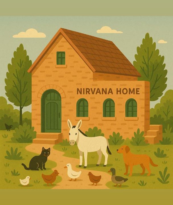Siwa Hotel | Nirvana Home