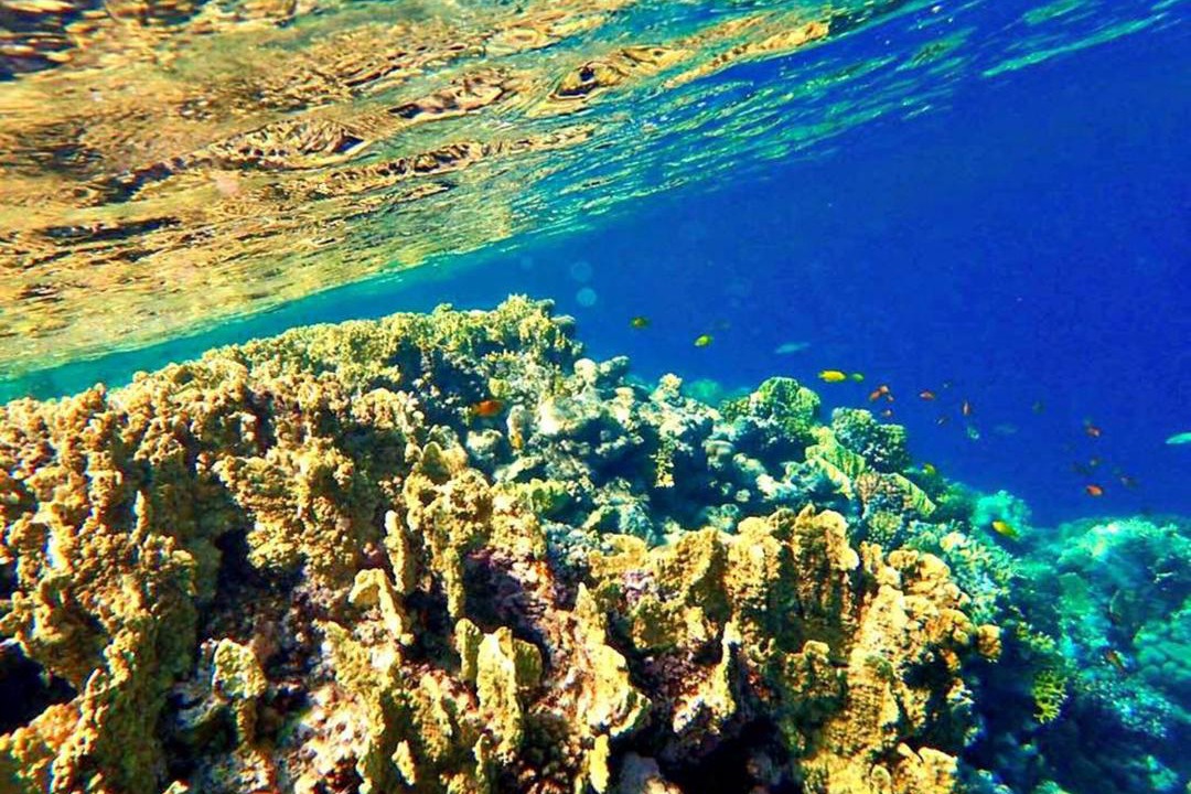 Soma Bay Other | Sharm El Naga Resort and Diving Center