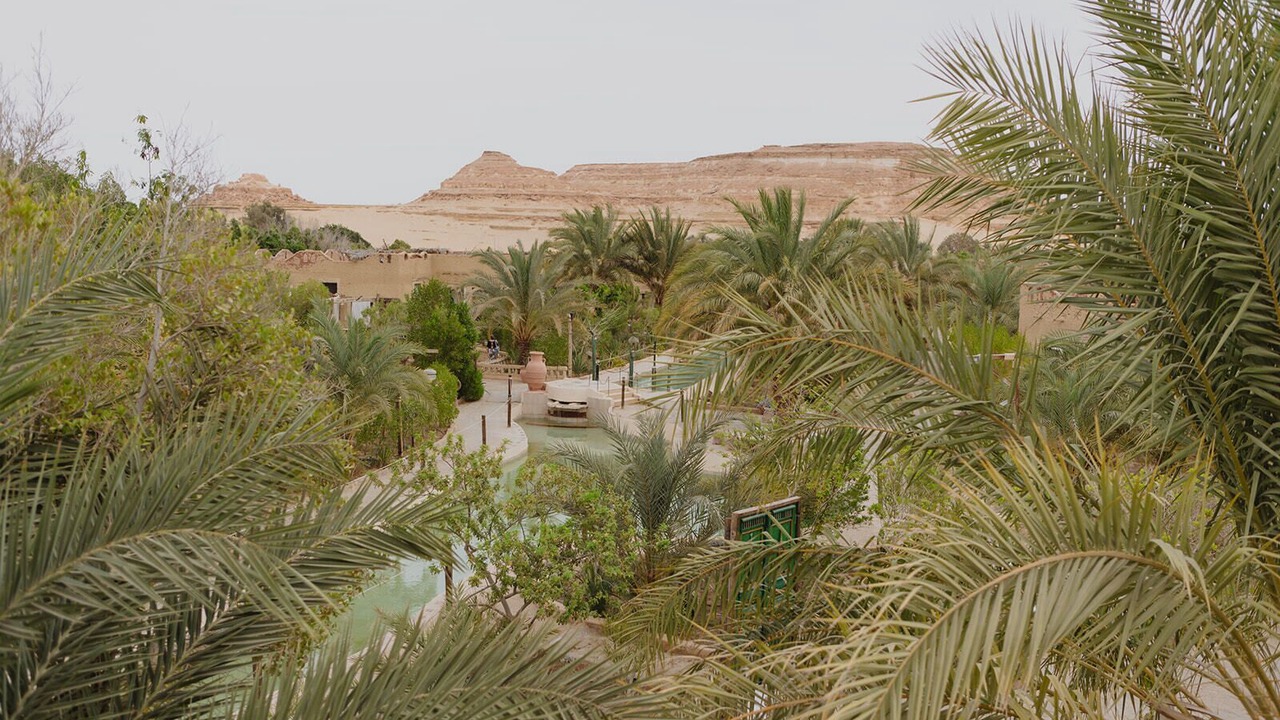 Photo of Others in Siwa