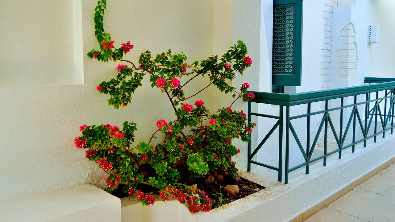 Photo of Bedroom in Sharm El Sheikh