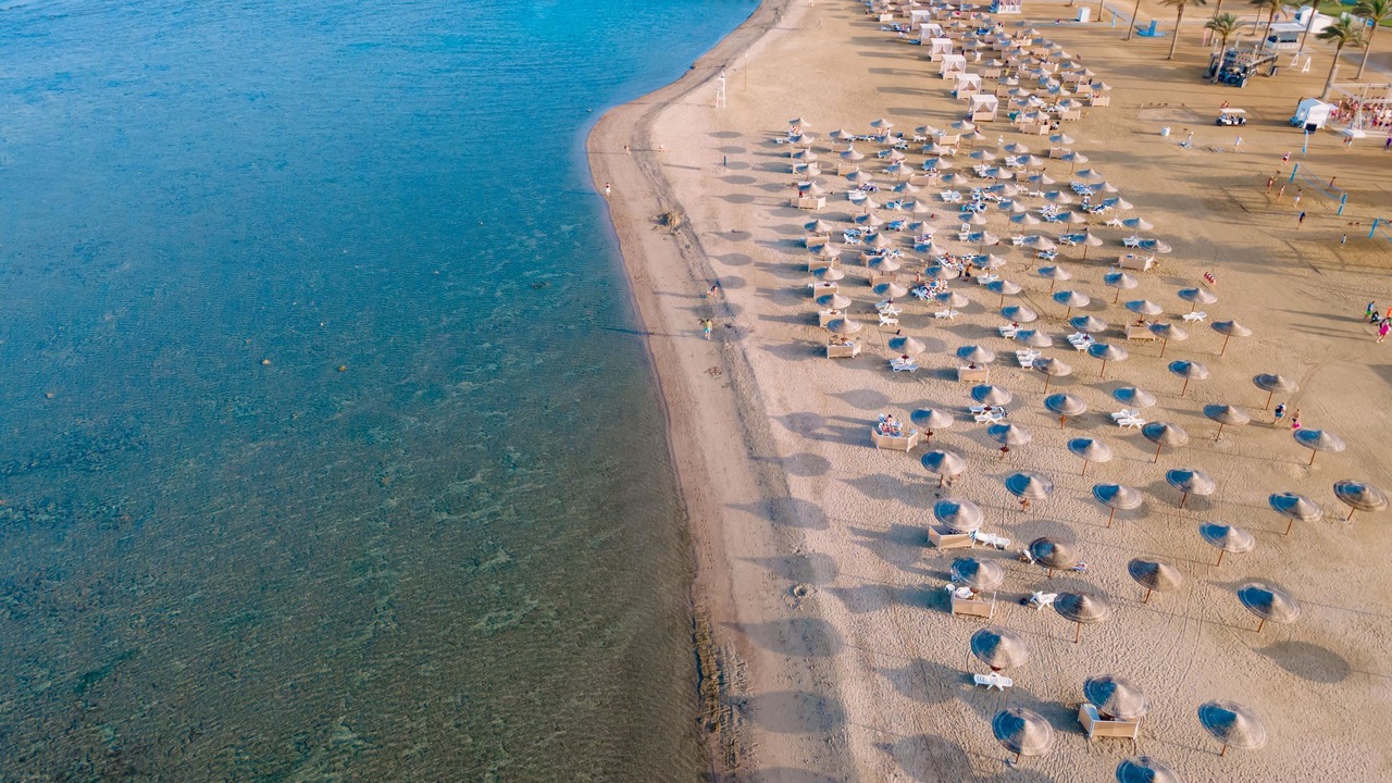 Photo of Others in Marsa Alam