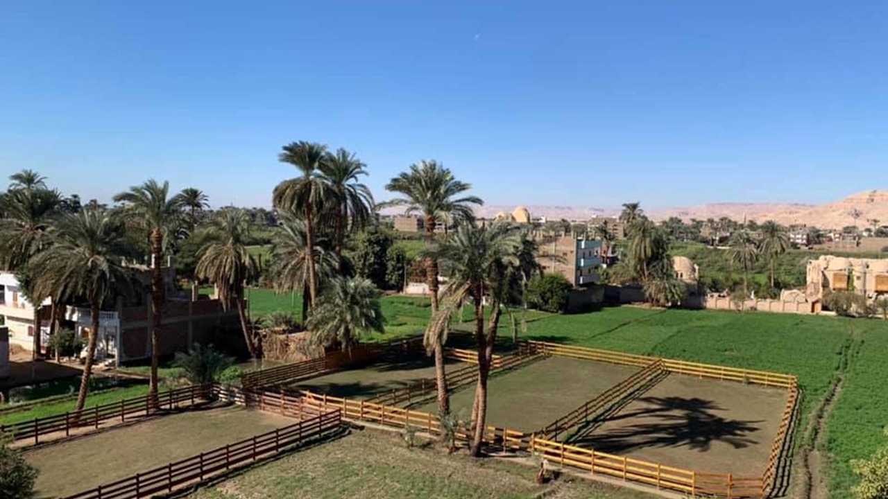 Photo of Outdoor in Luxor
