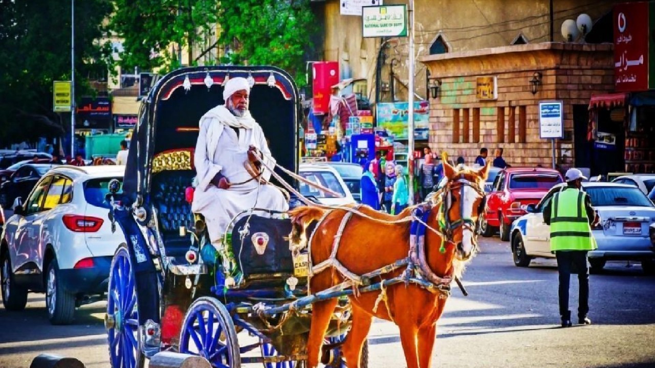 Photo of Outdoor in Luxor