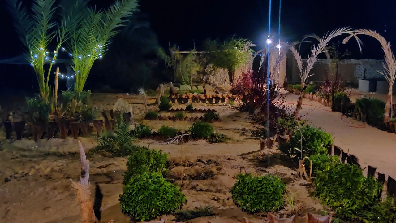 Photo of Outdoor in Siwa