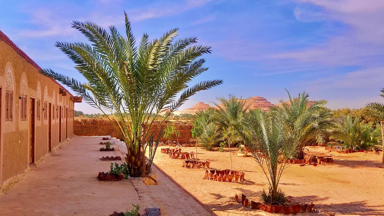 Photo of Outdoor in Siwa