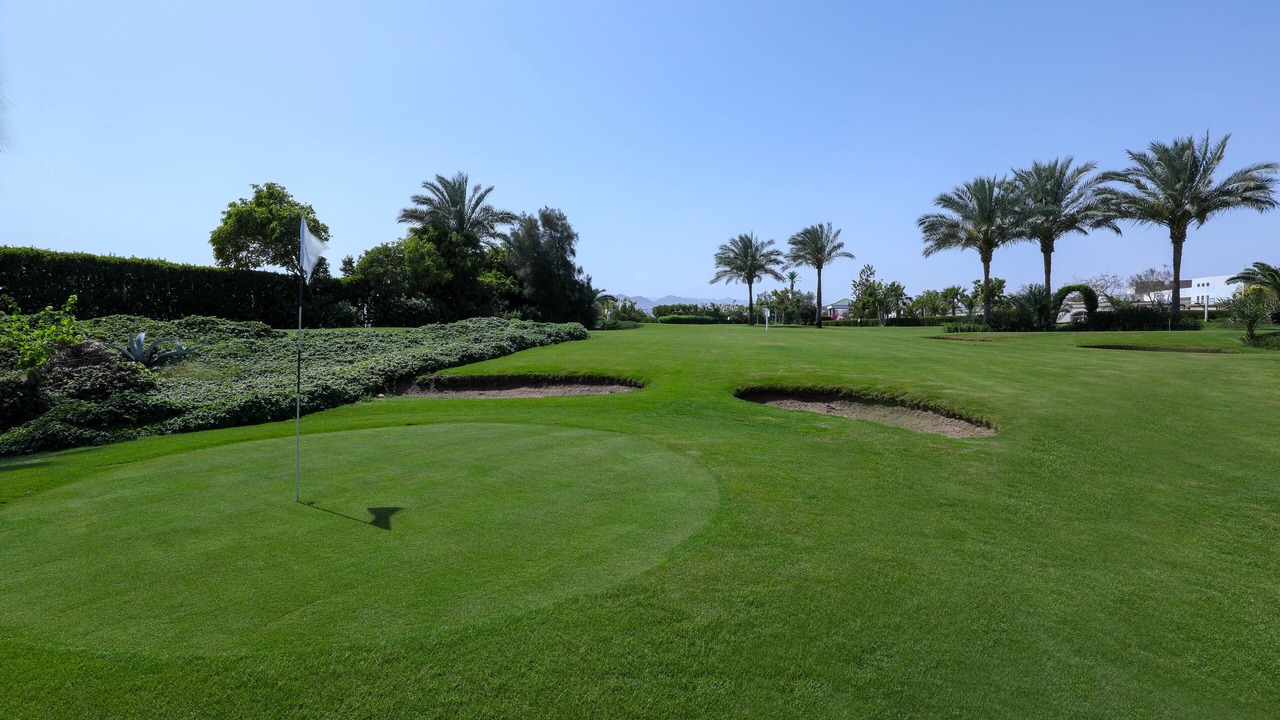 Photo of Others in Sharm El Sheikh