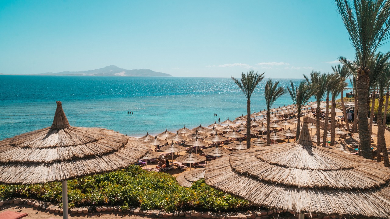 Photo of Others in Sharm El Sheikh