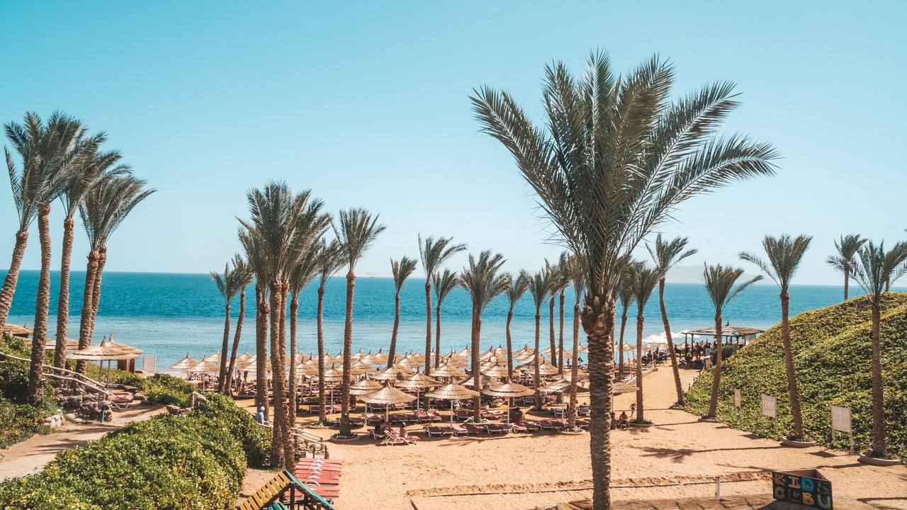 Photo of Others in Sharm El Sheikh