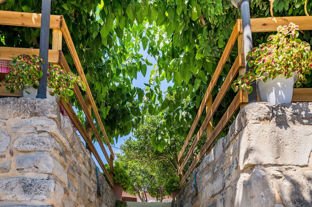 Photo of Outdoor in Mires