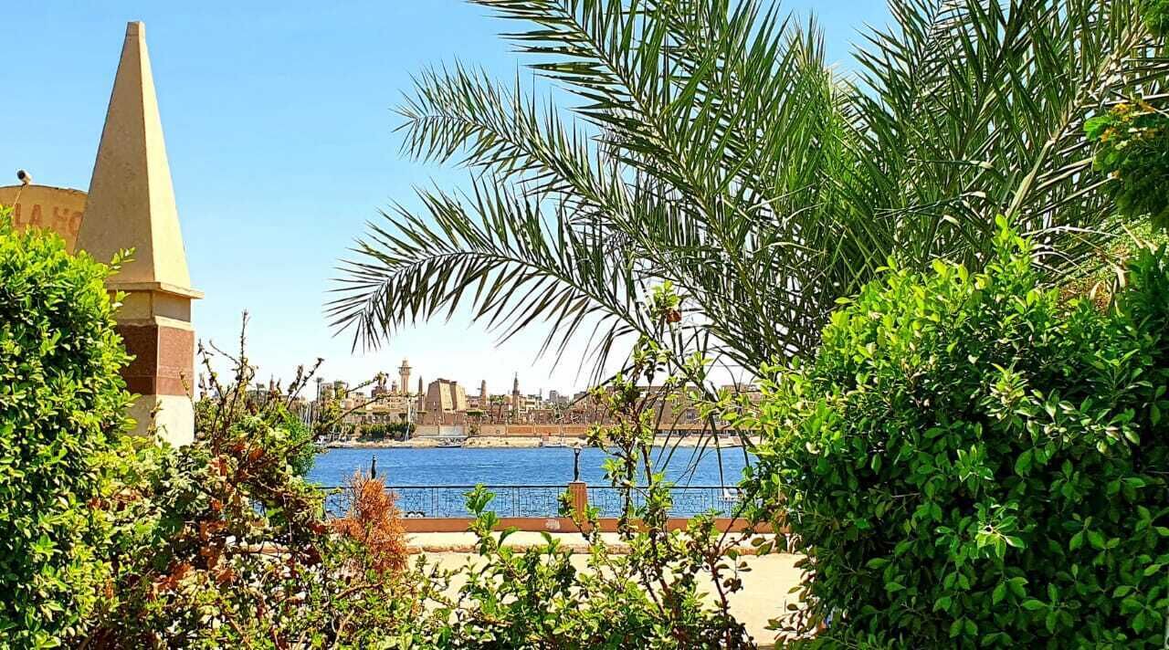 Photo of Outdoor in Luxor