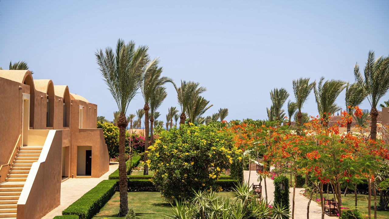 Photo of Others in Marsa Alam