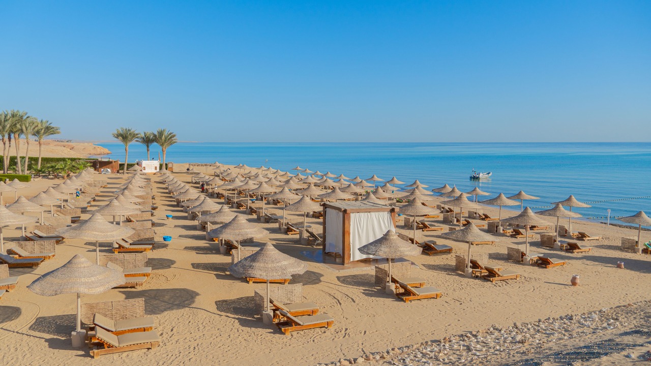 Photo of Others in Marsa Alam