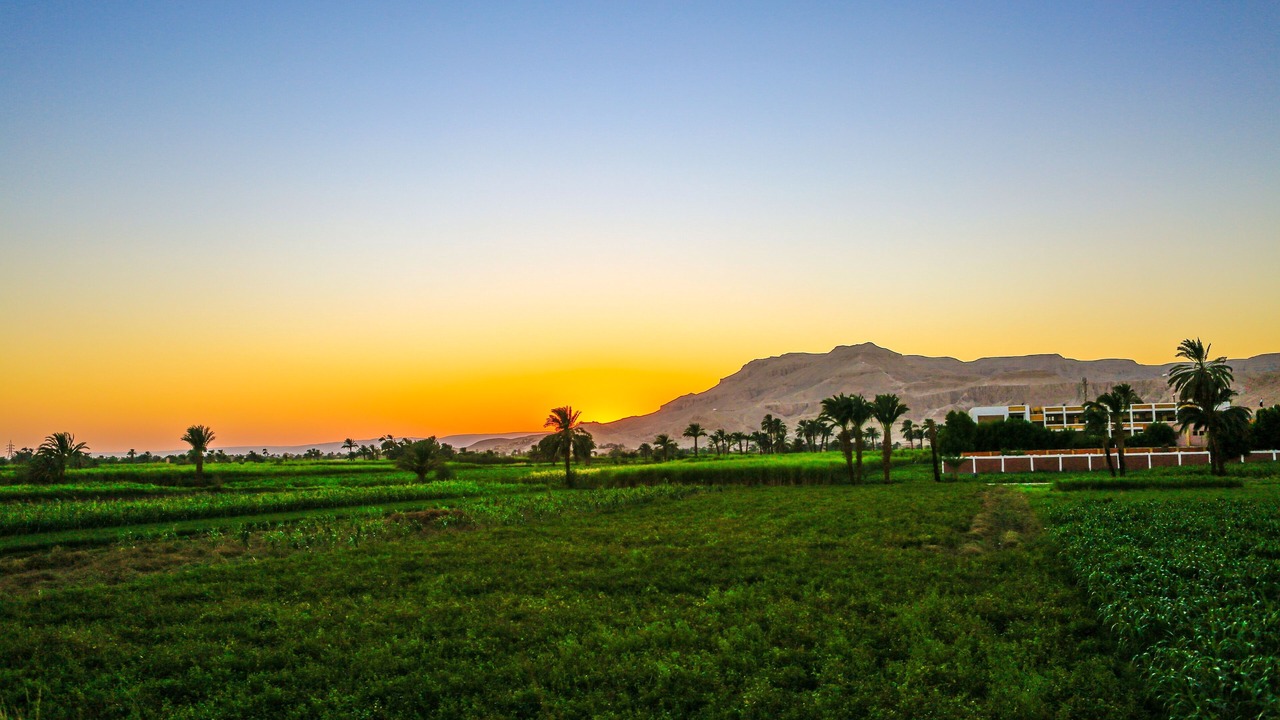 Photo of Others in Luxor