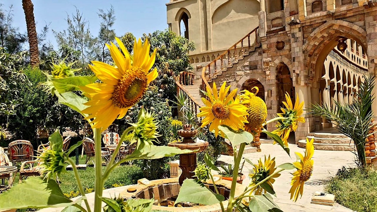 Photo of Outdoor in Luxor