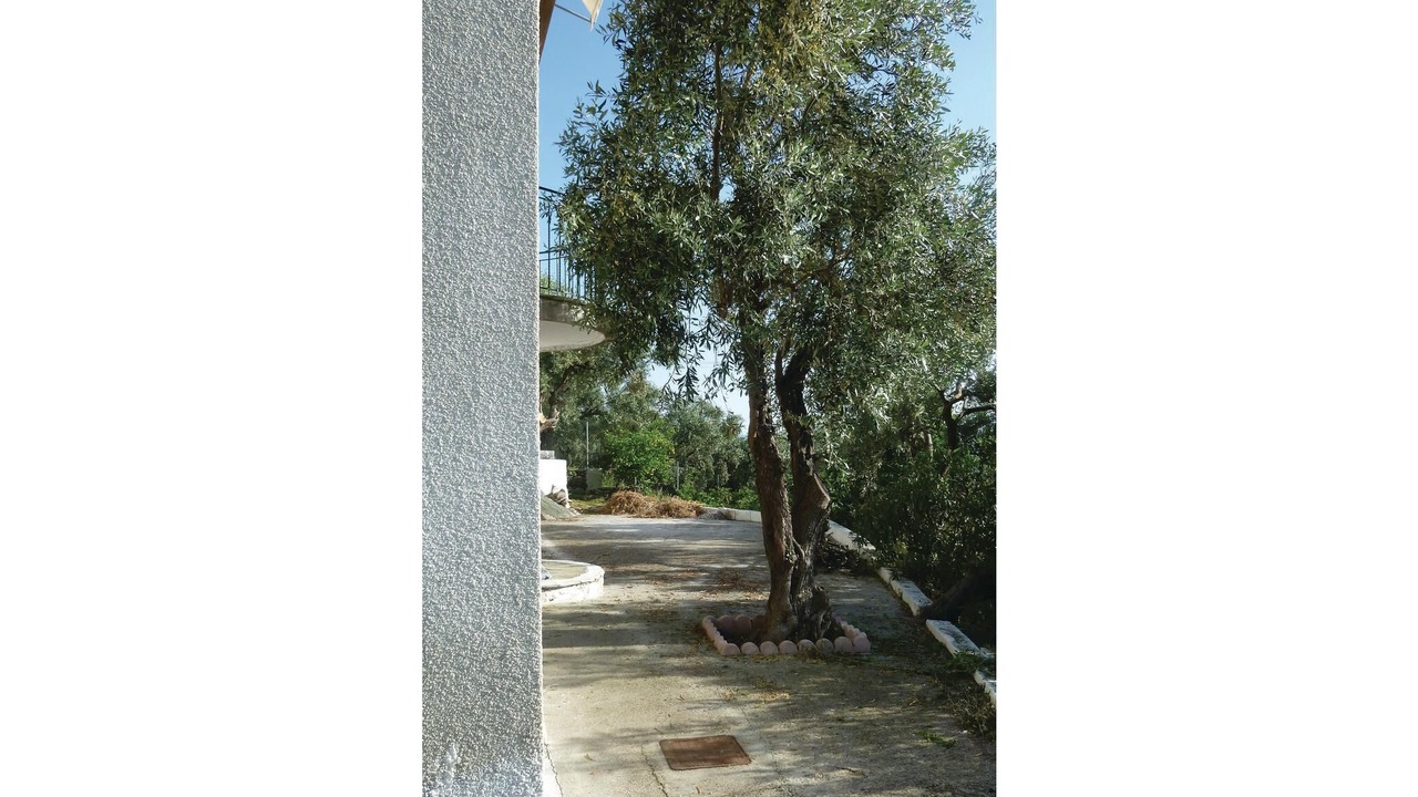 Photo of Outdoor in Afissos
