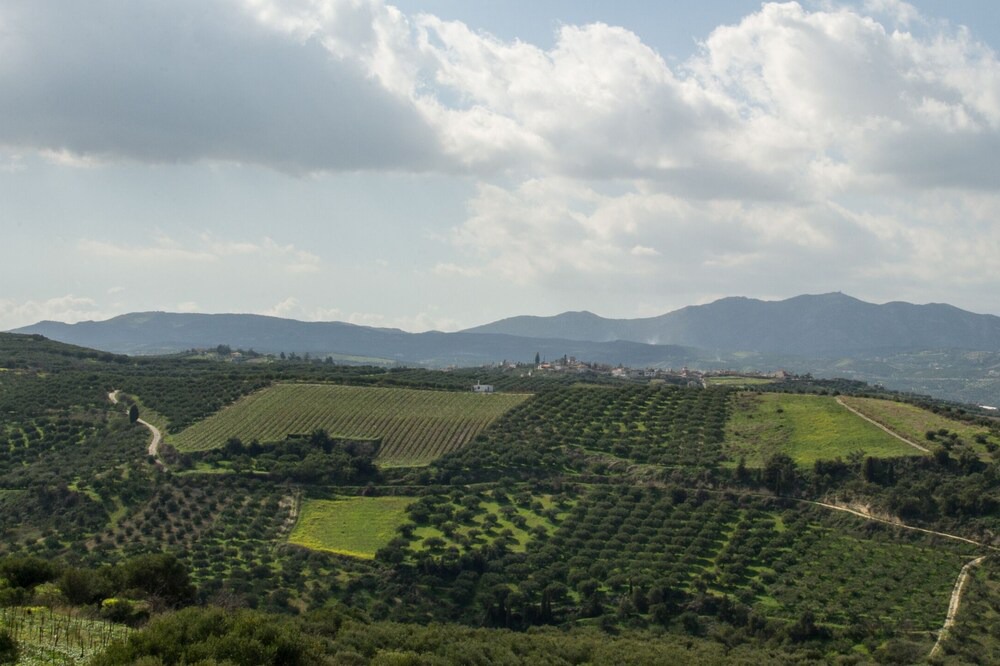 Photo of Others in Episkopi