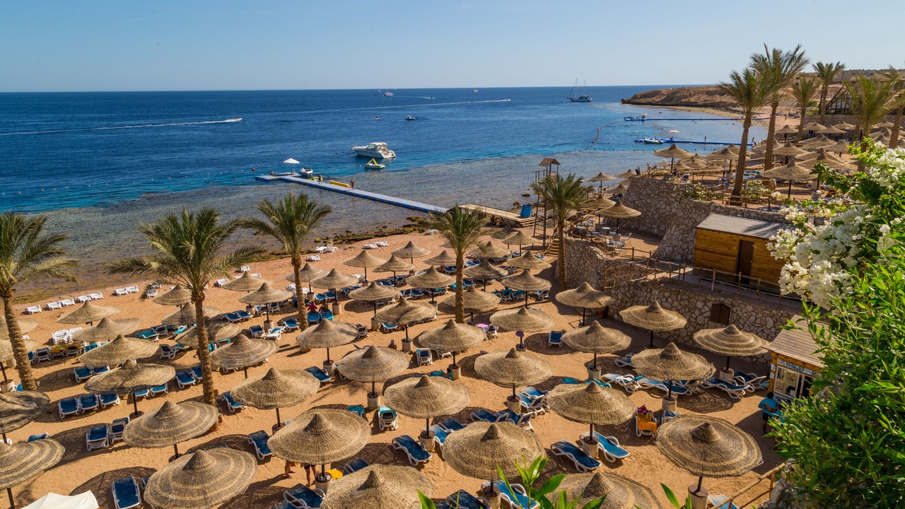 Photo of Others in Sharm El Sheikh