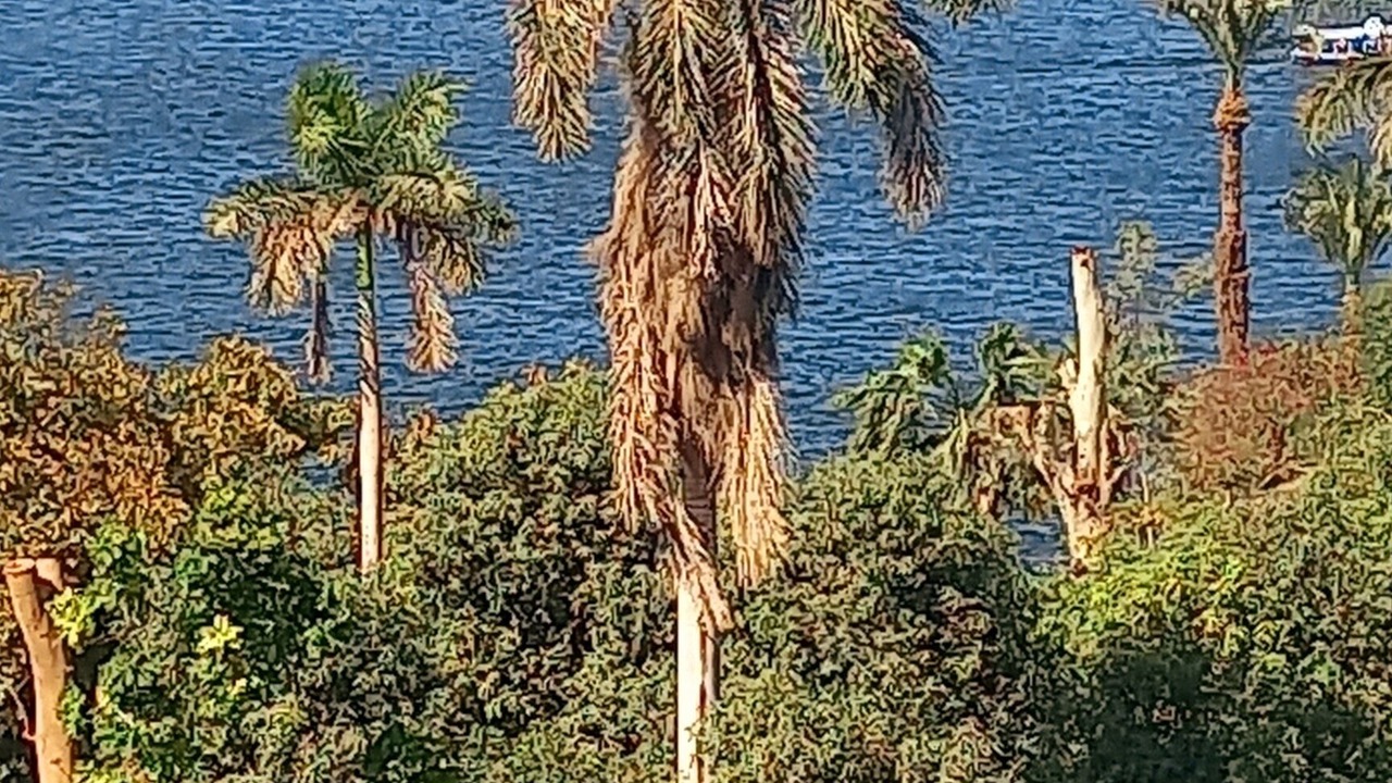Photo of Bedroom in Luxor