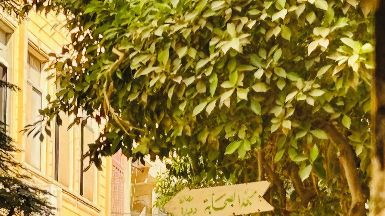 Photo of Outdoor in Giza