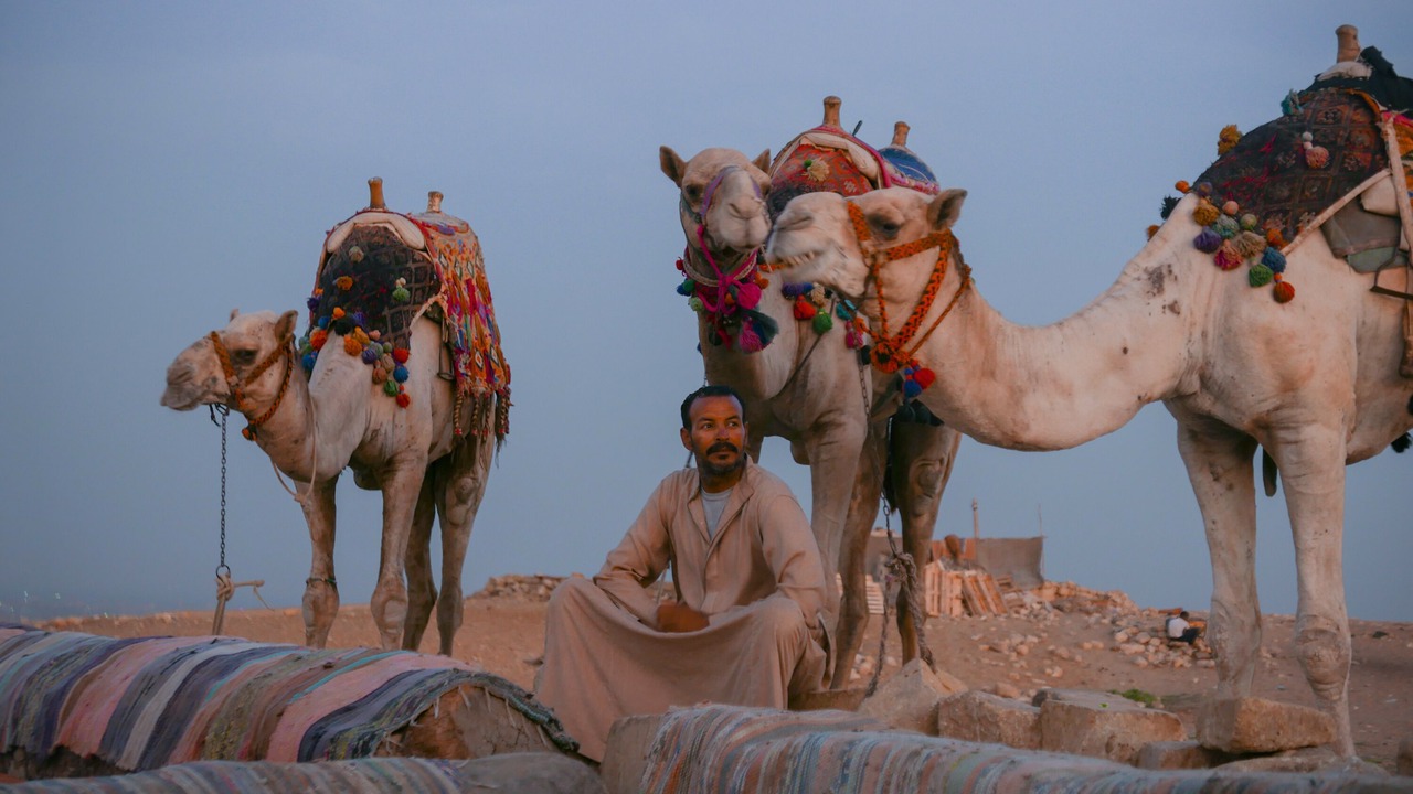 Photo of Outdoor in Giza