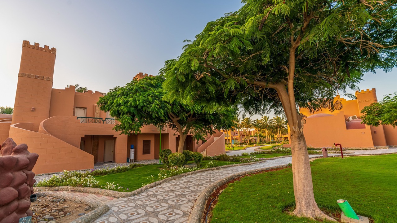 Photo of Outdoor in Port Ghalib