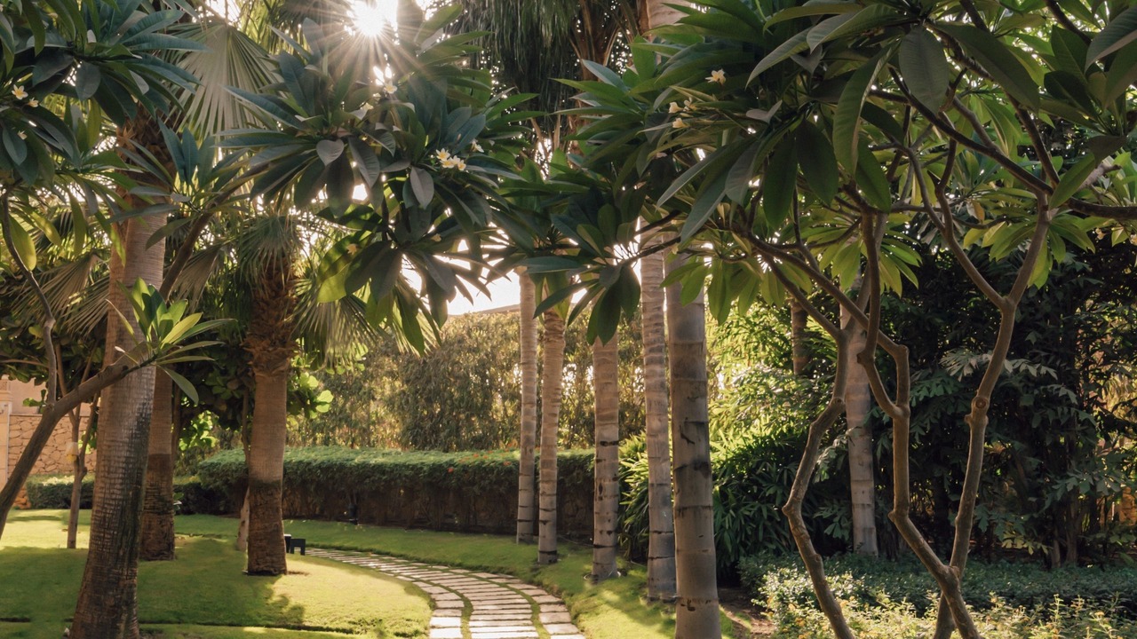 Photo of Outdoor in New Cairo