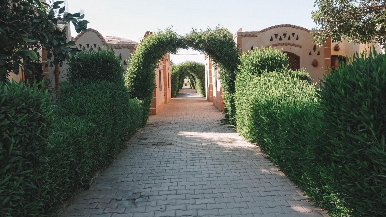 Photo of Outdoor in Luxor