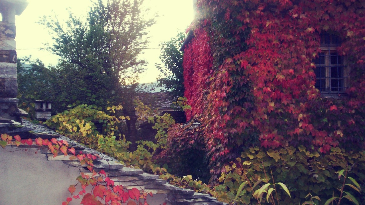 Photo of Outdoor in Papigo