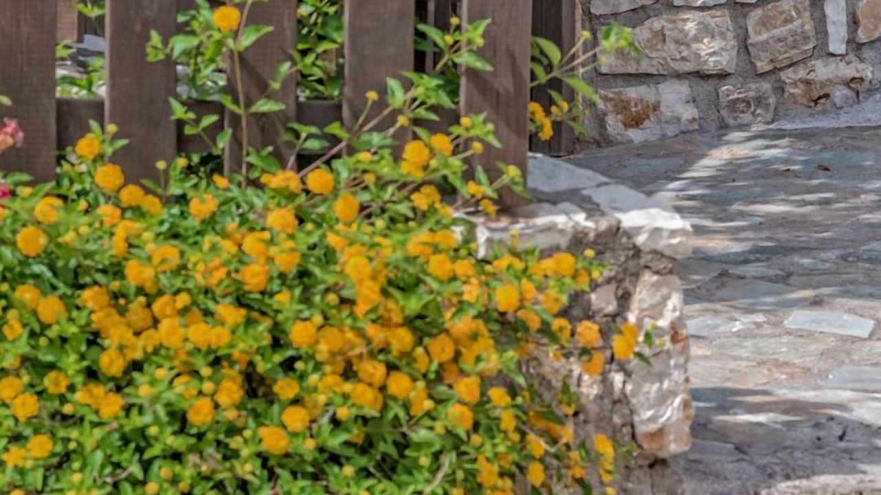 Photo of Outdoor in Preveza