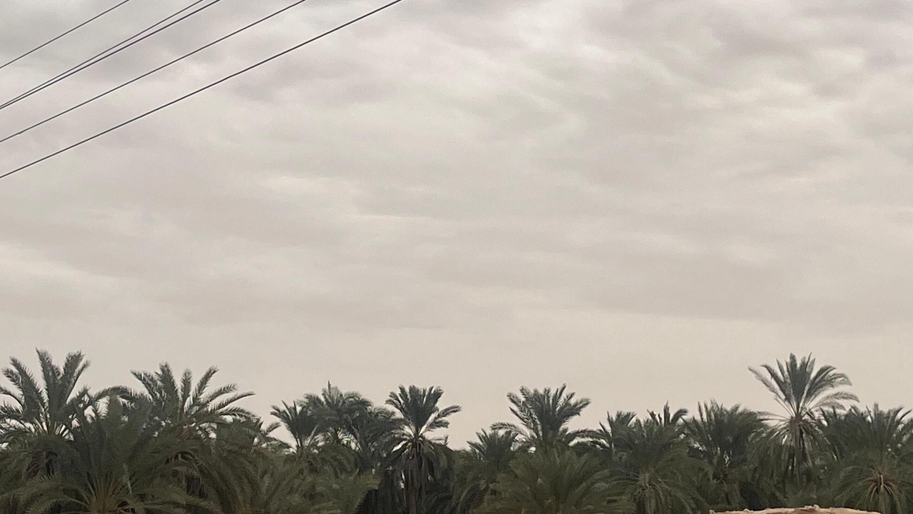 Photo of Others in Siwa