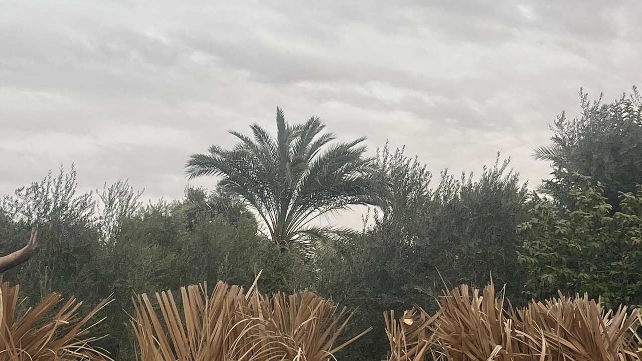 Photo of Others in Siwa