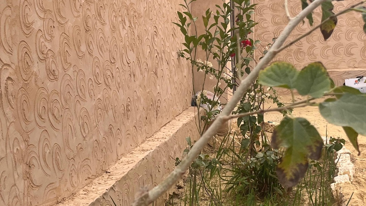 Photo of Outdoor in Siwa