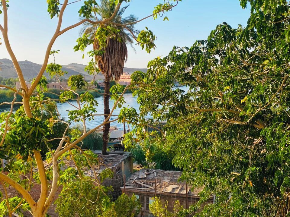 Photo of Others in Aswan