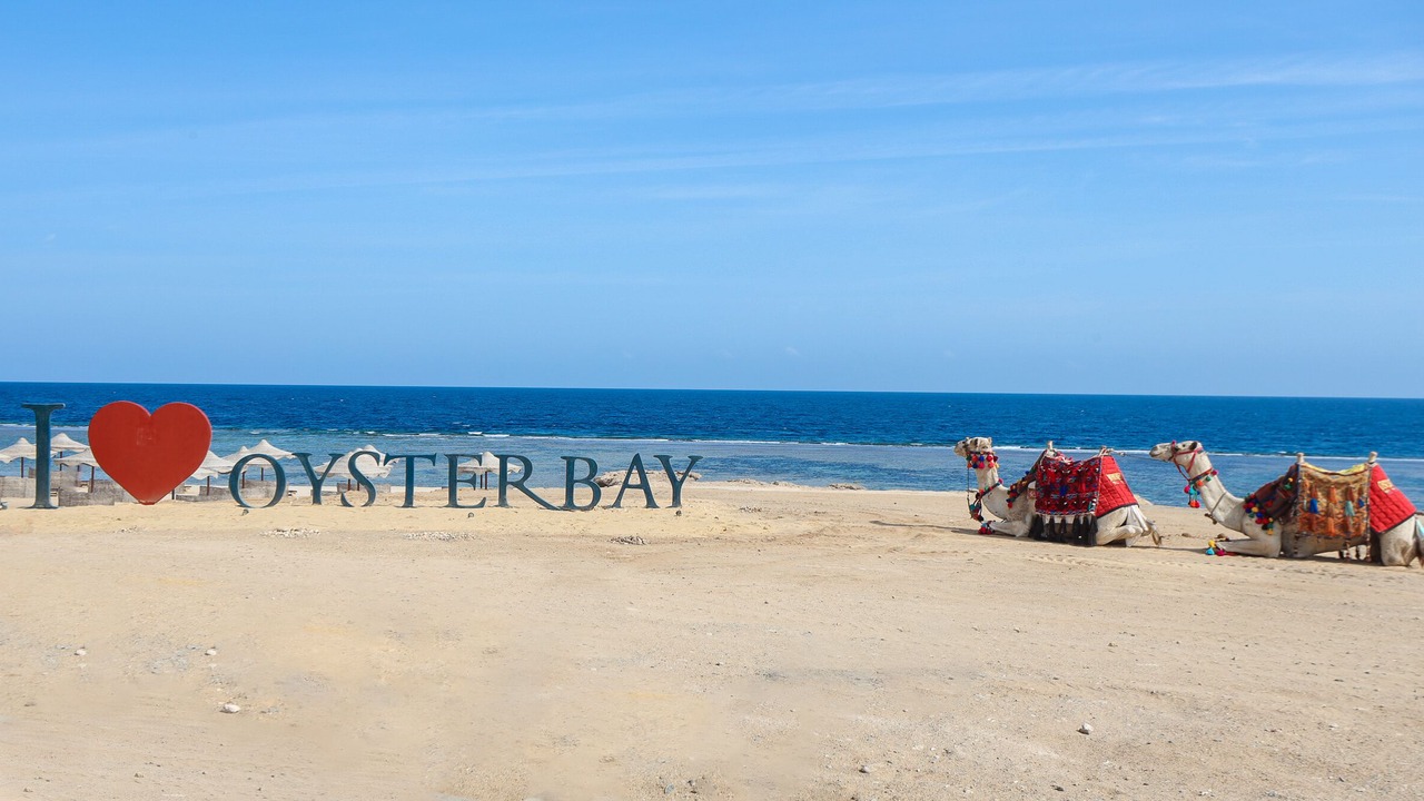 Photo of Others in Marsa Alam